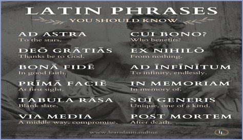 A Profile Of A Latin Beauty